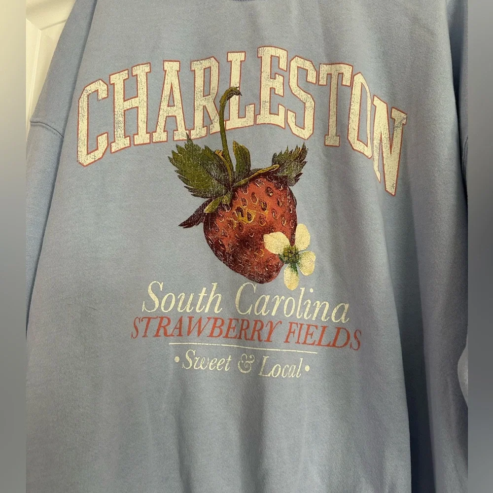 Altar'd State Light Blue Charleston Strawberry Crewneck Sweatshirt - Picture 3 of 7